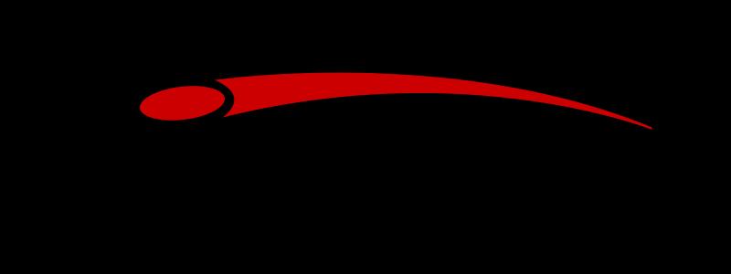 Discraft Logo