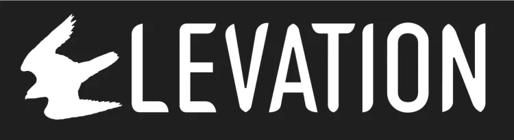 Elevation Disc Golf logo