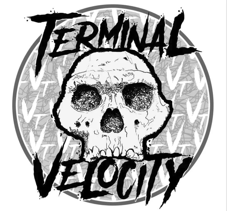 Terminal Velocity Discs logo